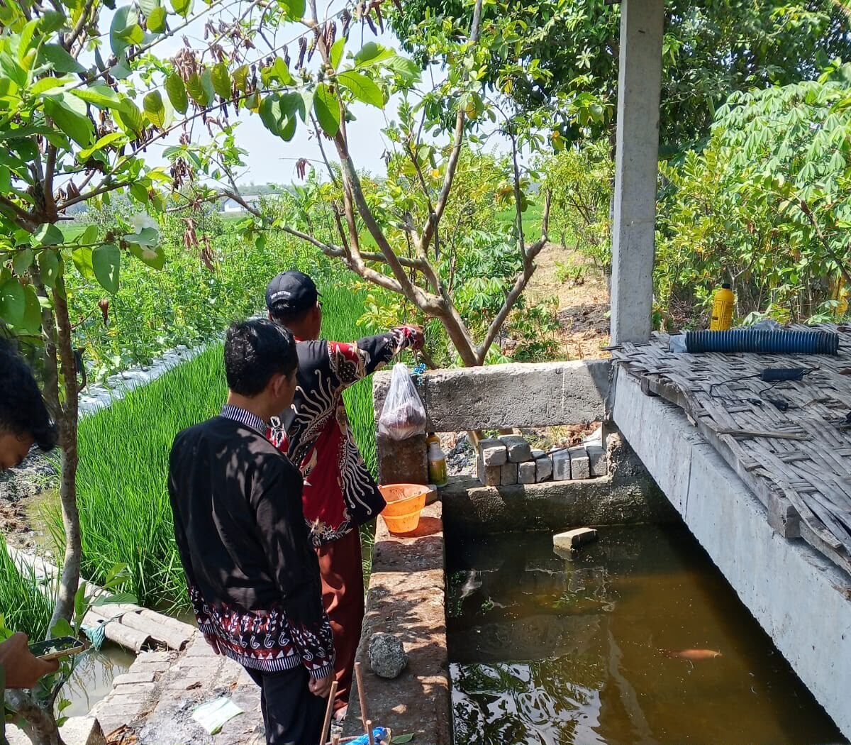 Meski Lahan Sempit, Mbah Dul Petani Bojonegoro Ini Sukses Hasilkan Beragam Komoditas Pertanian